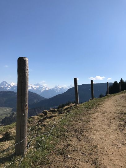 Blick auf das "Allgäuer Dreigestirn" - Trettach, Mädelegabel und Hochfrottspitze