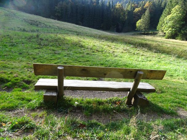 Vom Alpsee übers Immenstädter Horn – Die ganze Vielfalt des Naturparks