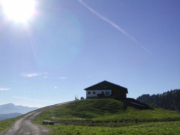 Alpe Spicherhalde in Balderschwang