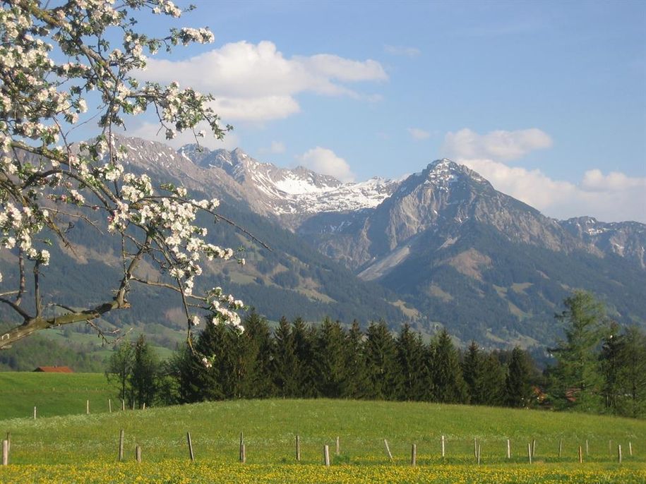 Frühling in Fischen