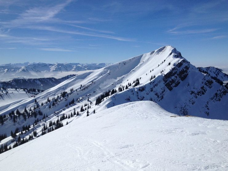 Auf dem Gelchenwanger Grat - Blick Hochgrat