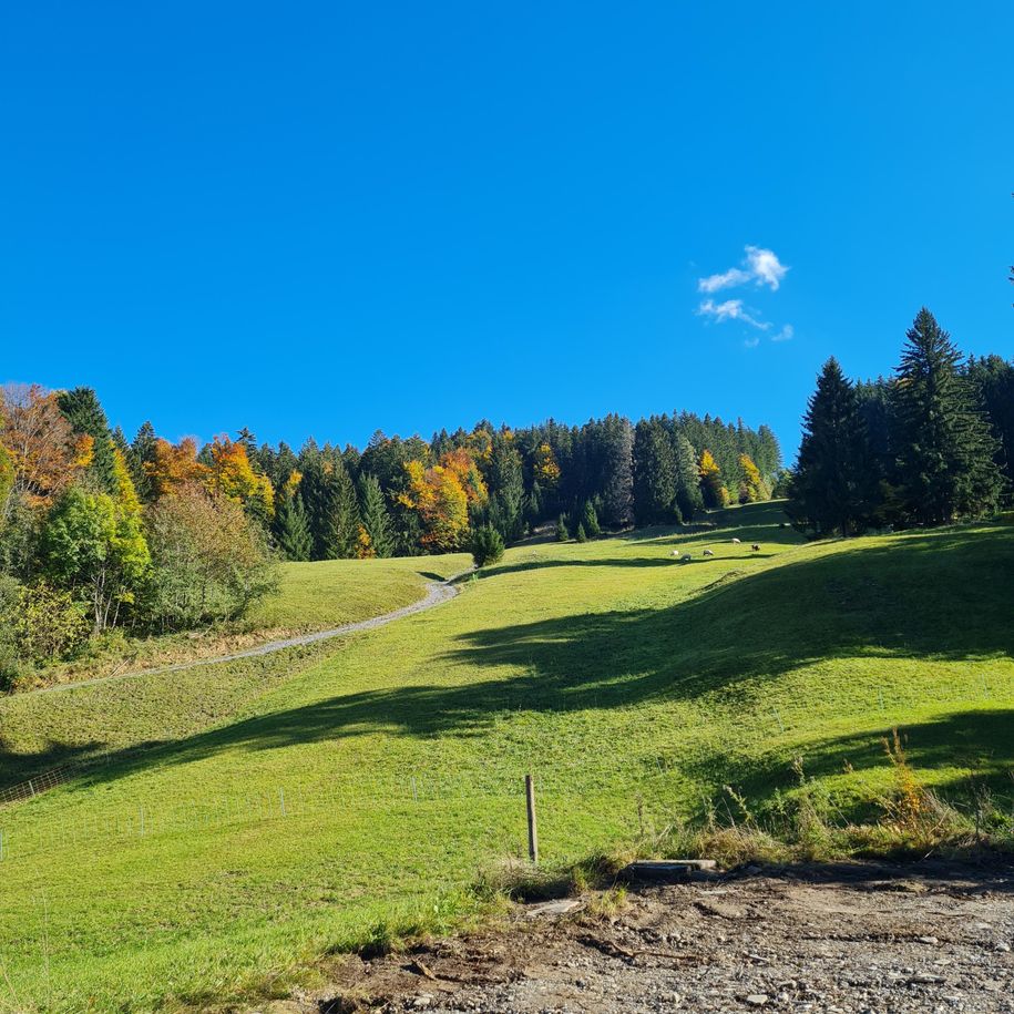 Wanderung zur Kammereg Alpe