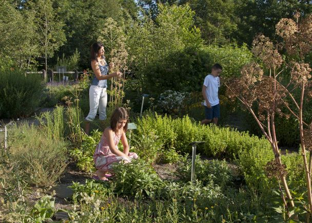 Der Kräutergarten liegt im Kurpark in Fischen