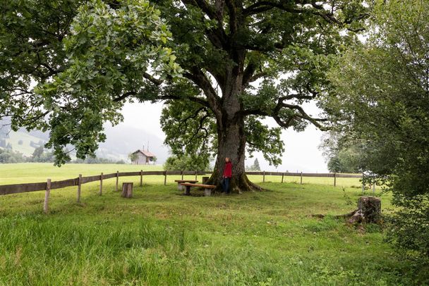 Ort der Besinnung - Obermaiselstein