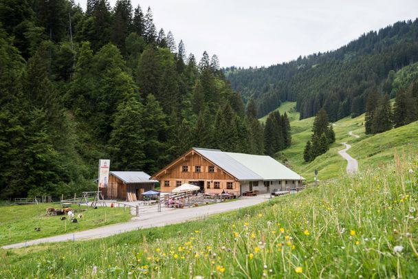 Alpe Zunkleiten im Bolgental