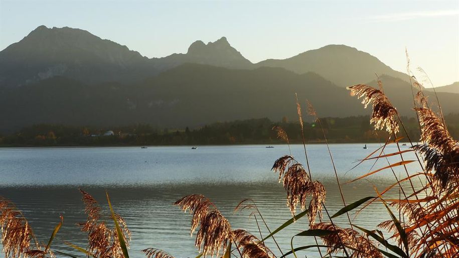 Abendstimmung am Hopfensee