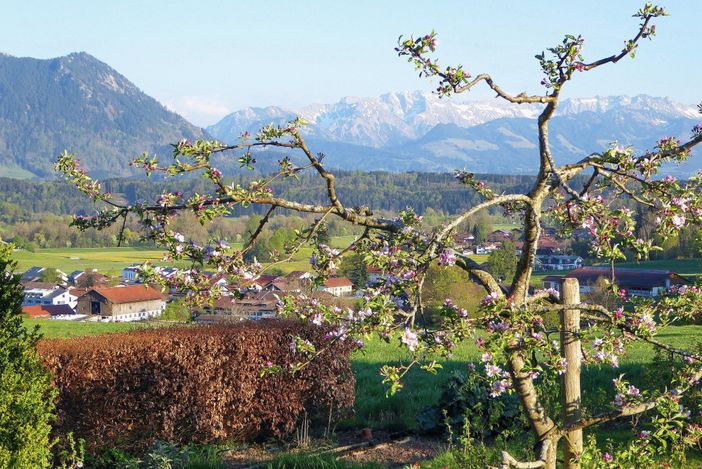 Aussicht FeWo Grünten Balkon