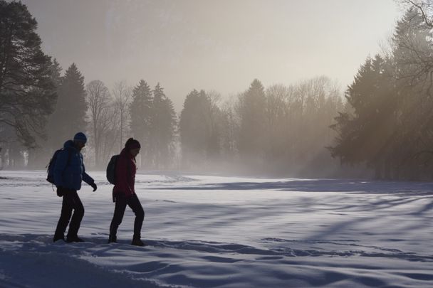 Weg in Richtung Schwansee