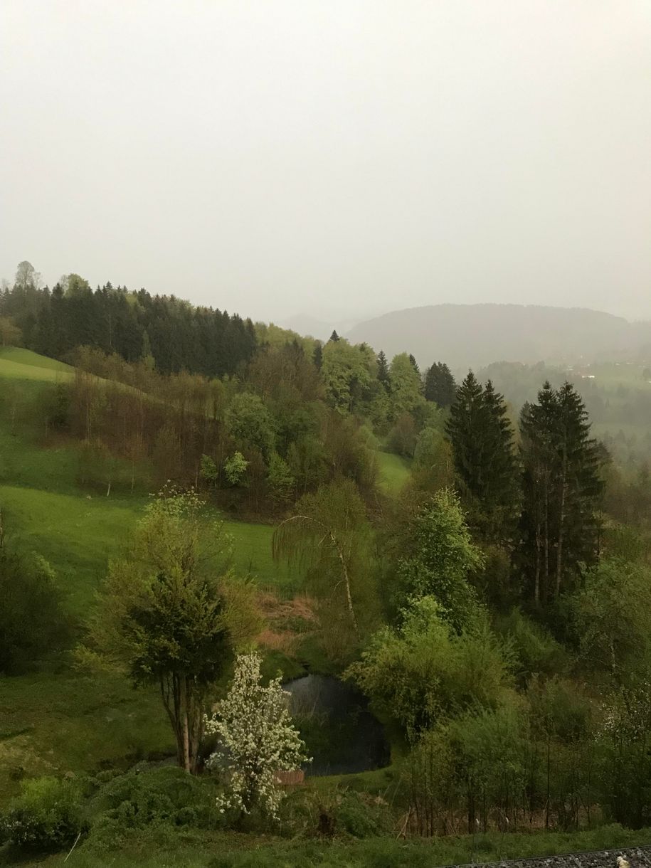 Blick von der FEWO bei trübem Wetter