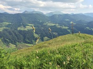 Ausblick auf Oberstaufens Hausberge