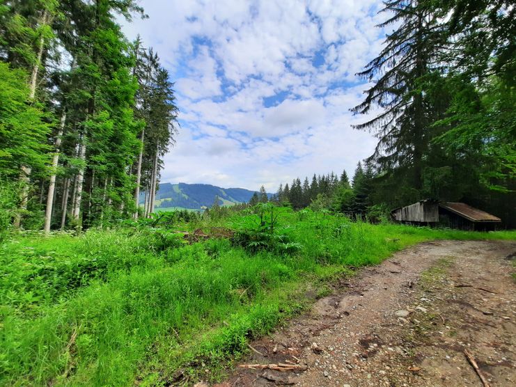 Burenweg Sibratshofen - Weitnau