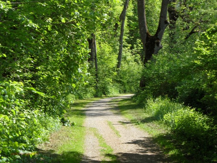 Unterweg ins Pforzen