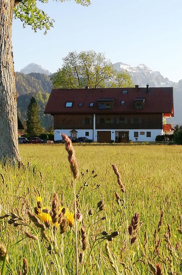 Haus im Frühling mit Säule