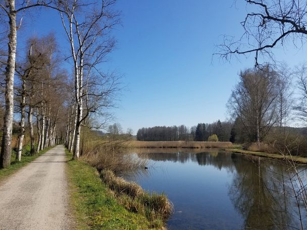 Im Naturschutzgebiet Fronwiesen