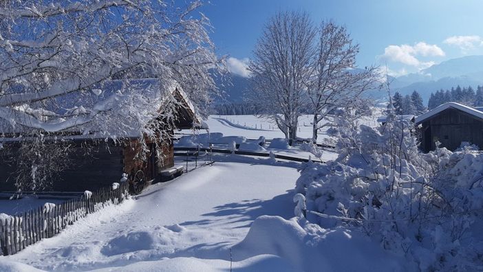 Garten im Winter