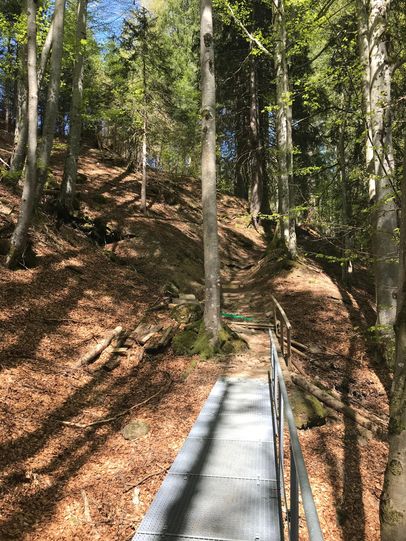 Durch den Wald Richtung Sonderdorfer Kreuz