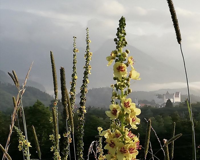 Füssen mit wetterkerze