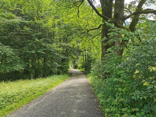 Weg zur Gipsmühle in Hohenschwangau