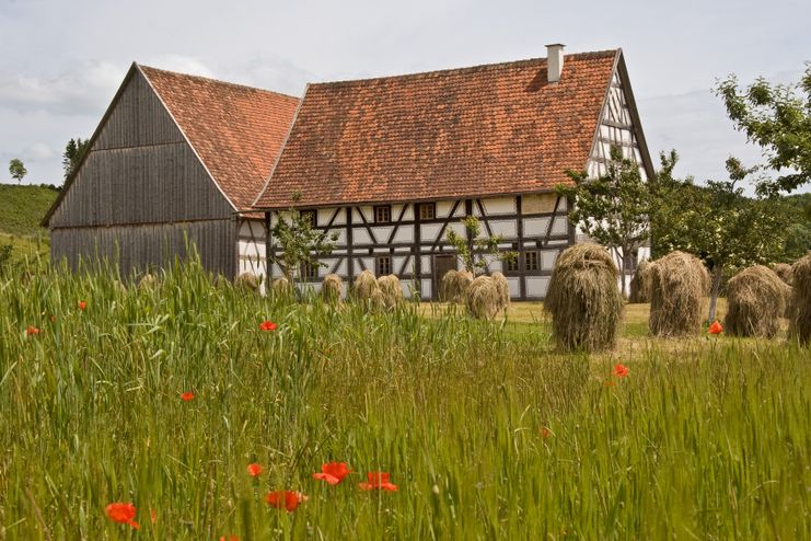 SBI_Getreidefelder_Heinzen_Baugruppe Mittelschwaben_06642