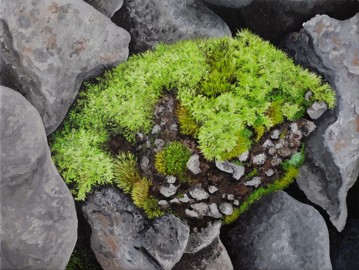 Lola Cuallado, Moss from the harbor of Reykjavik