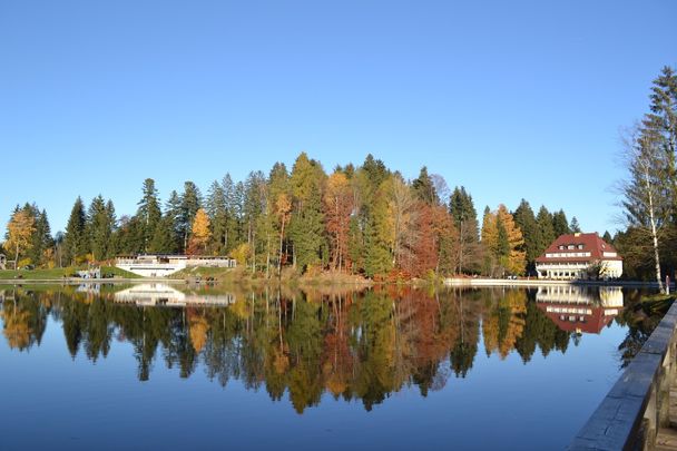 Waldseebad und Hotel Waldsee im Herbst