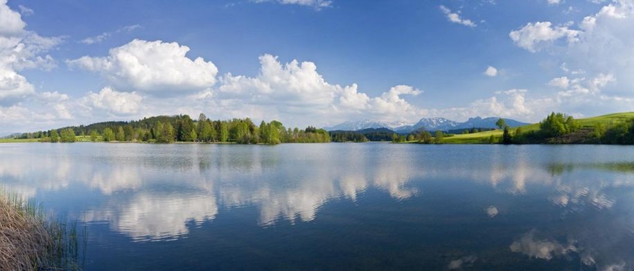 Schwaltenweiher