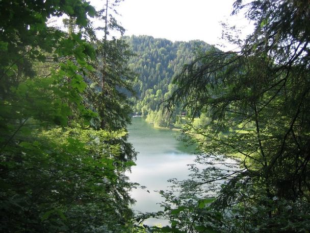 Oberhalb des Schwansees auf dem Alpenrosenweg