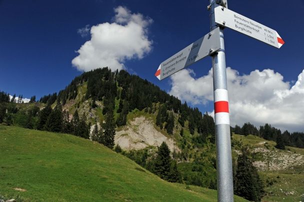 Alles fließt in Sibratsgfäll - Der Erdrutsch am Feuerstätterkopf