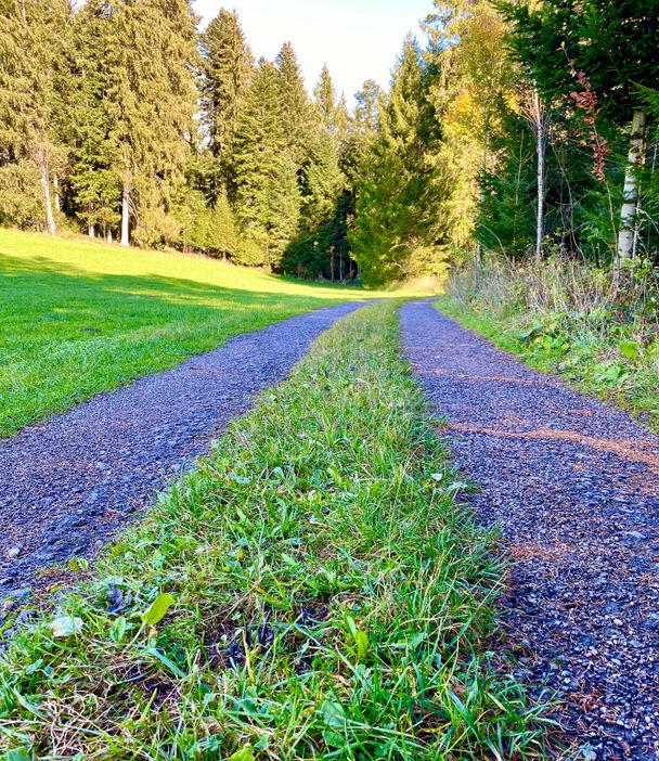 Wald & Familienrundweg Stiefenhofen