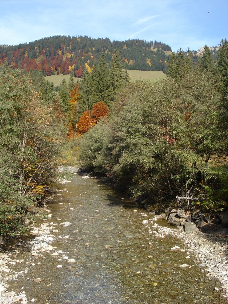 Bolgenach im Herbst