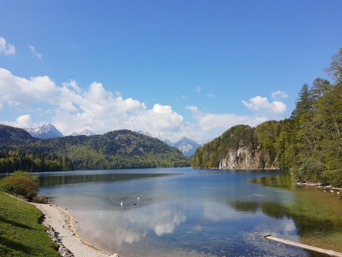 Alpsee