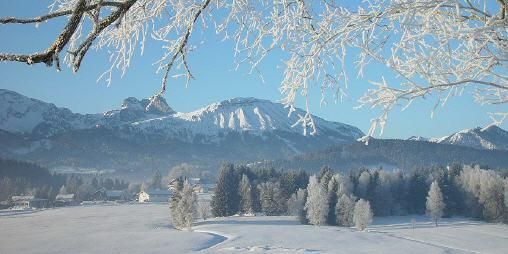 Winterlandschaft.