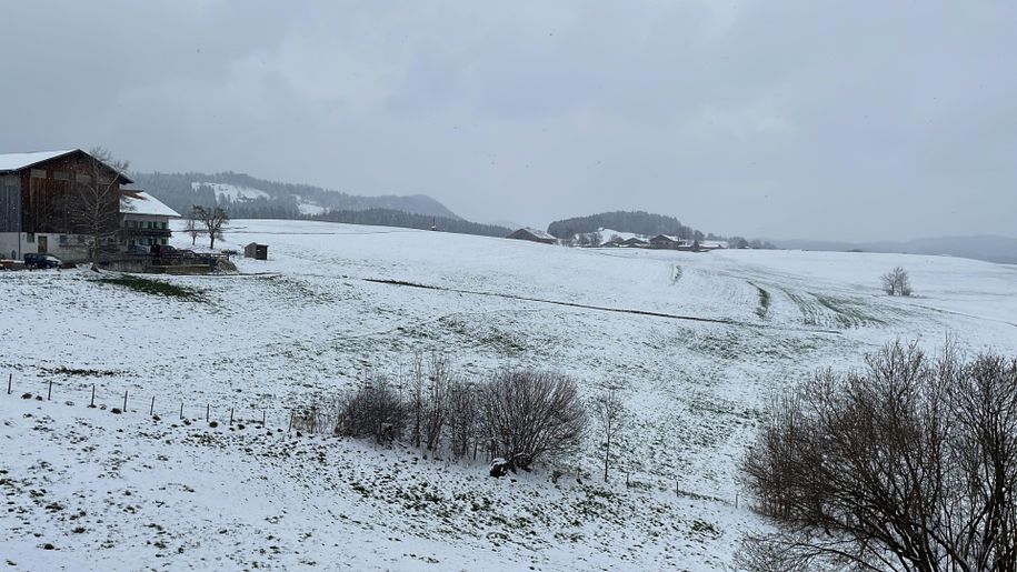 Winterbild_2