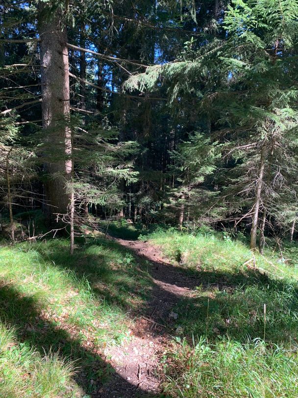 Wanderweg Richtung Schloßanger Alp