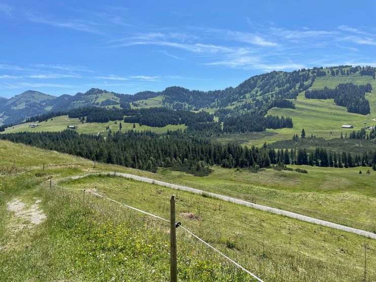 Blick vom Steinernen Tor auf die Nagelfluhkette