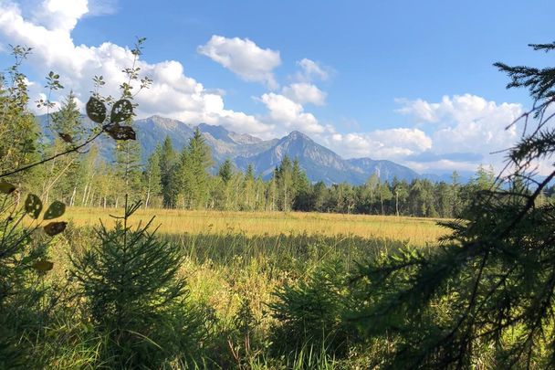 Tiefenberger Moos bei Ofterschwang