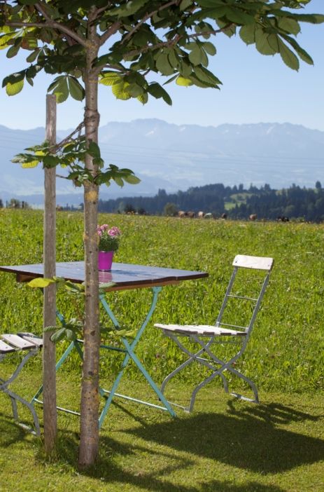 Gemütliche Sitzplätze im Garten