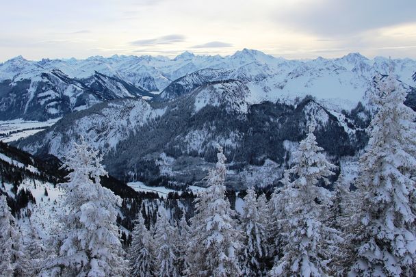 Ausblick auf die Tiroler Alpen