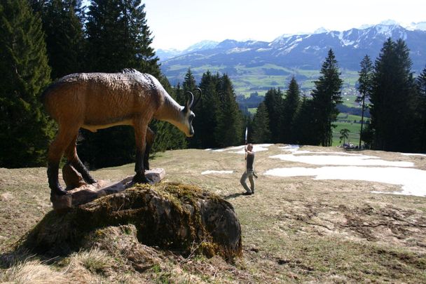 3D Bogenparcours am Berg in Bolsterlang