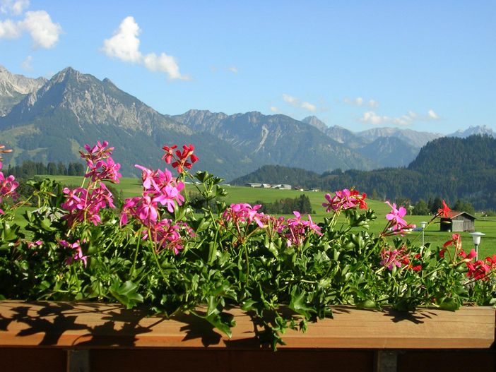 Allgäuer Bergblick