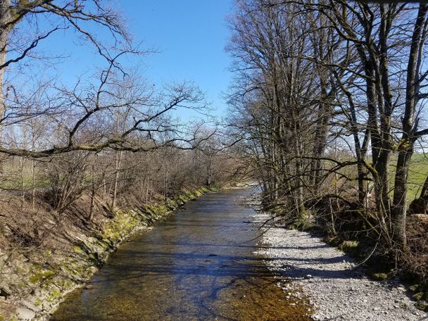 Die Obere Argen bei Elitz