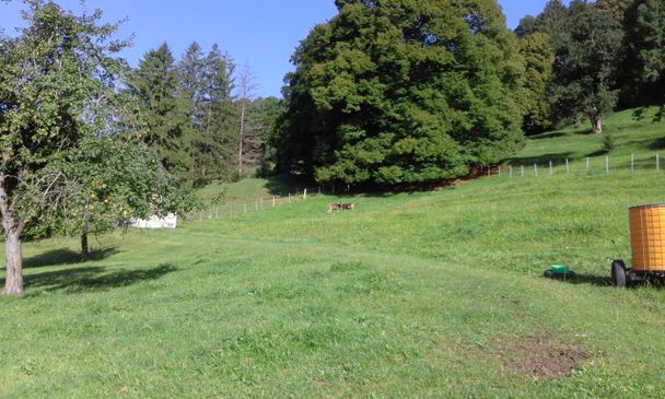 Trampelpfad in Oberlangegg Richtung Alpe Beichelstein