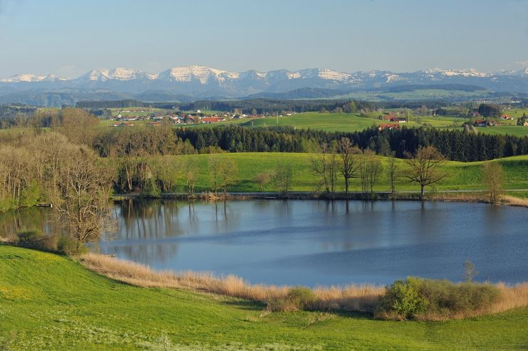 Blick Siggener Höhe auf die Alpen.