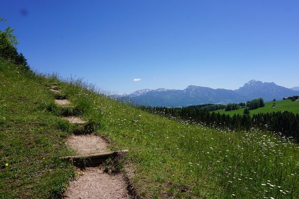 Allgäuer Logenplatzroute - Etappe 8: Lechbruck am See-Roßhaupten