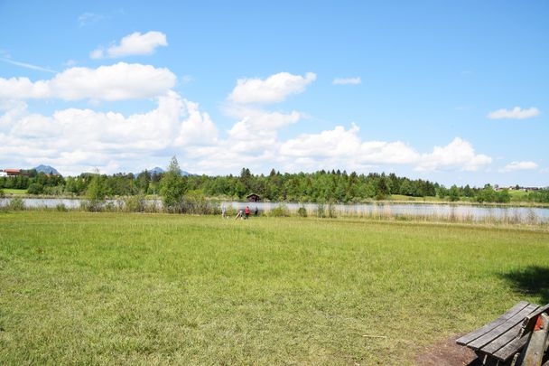 Blick über den südlichen Teil des Hopfensees