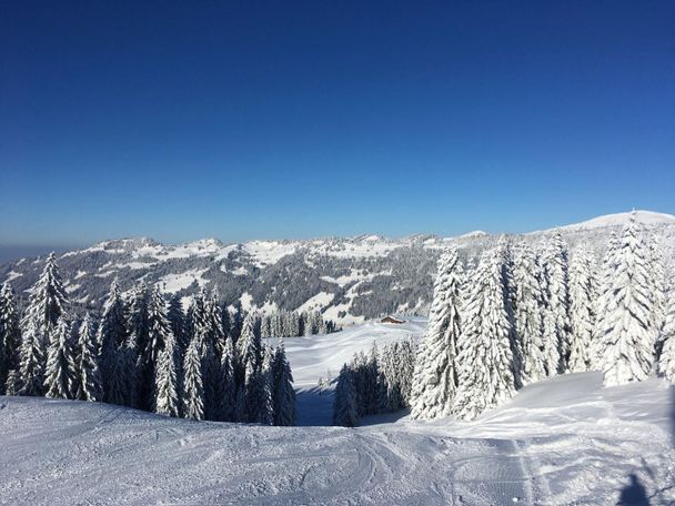 Skigebiet Balderschwang im Allgäu