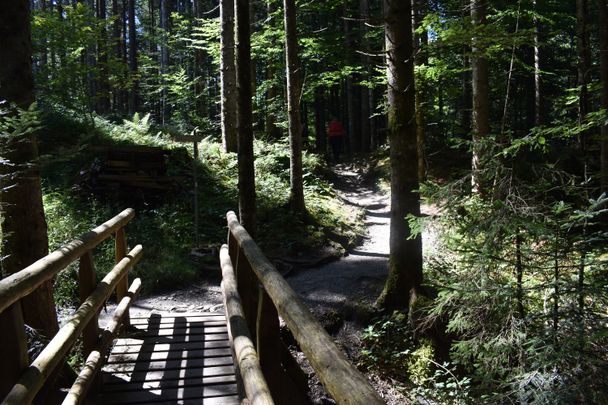 Von Gunzesried übers Ostertaltobel aufs Ofterschwanger Horn