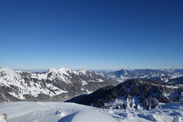 Von Balderschwang auf den Siplingerkopf (1.748,3m)