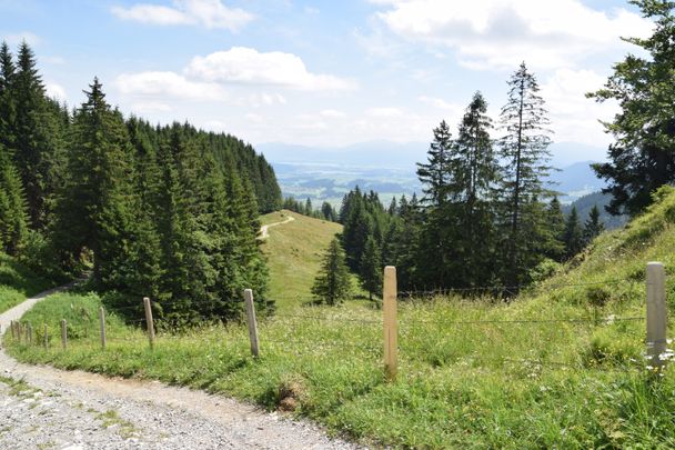 Weg zur Kappeler Alp