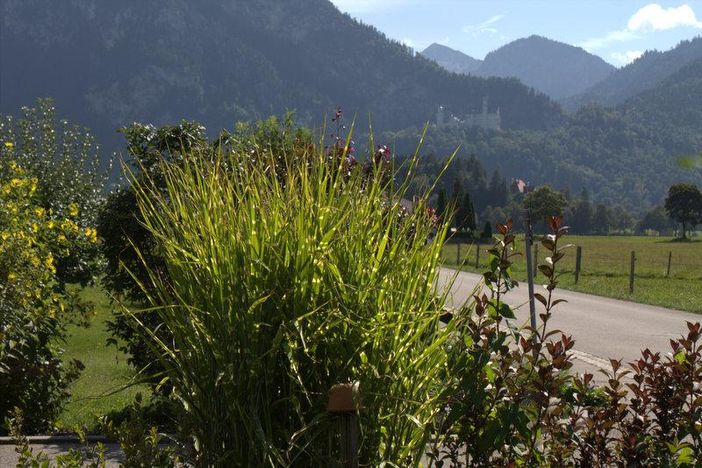 Gartenblick zum Schloss Neuschwanstein